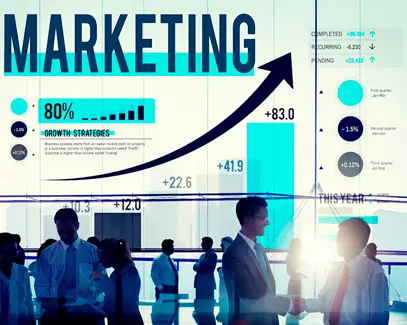 E-commerce Marketing & Growth Strategies